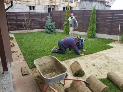 Amenajare si intretinere Gradini